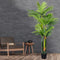 Lambu Artificial Plants Tree Room Garden-1973193780639174662