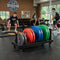Centra Horizontal Bumper Plate Rack with Wheels Barbell Weight Storage Holder-2050059020890411014