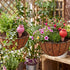 Toque 8 Pcs Self Watering Terracotta Garden Plant Spikes Drip Irrigation System-2072893580225155078