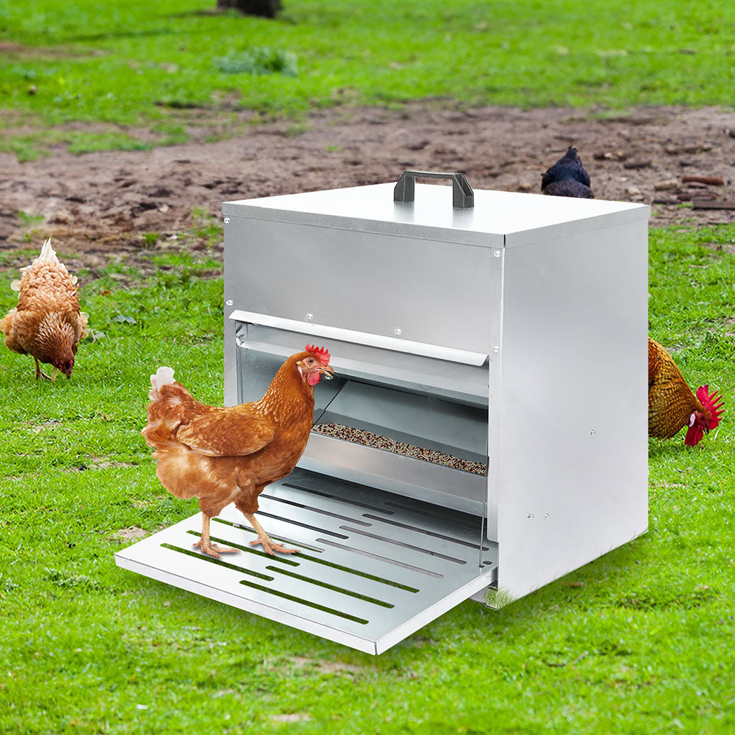 PaWz 10KG Auto Chicken Feeder Dispenser Galvanised Steel-2006732904771751942