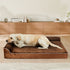 Pawz Orthopedic Dog Bed XL Coffee-2018816820357763078