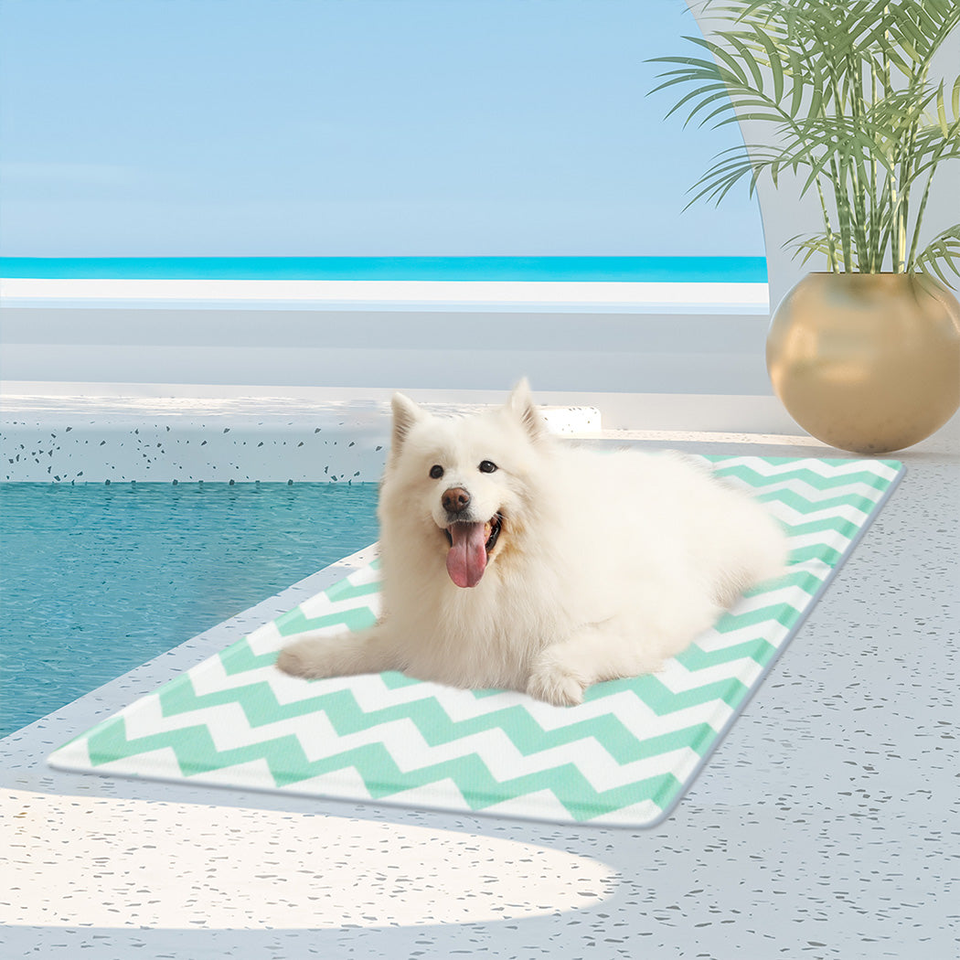 Pawz Pet Cooling Mat L Green-1894516778017624070