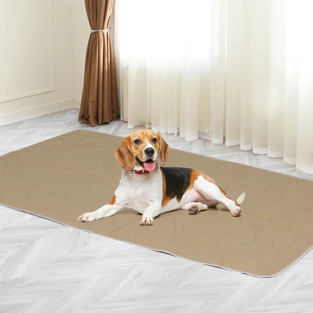 PaWz 2 Pcs 90x90 cm Reusable Waterproof XX-Large-2029387253578600454