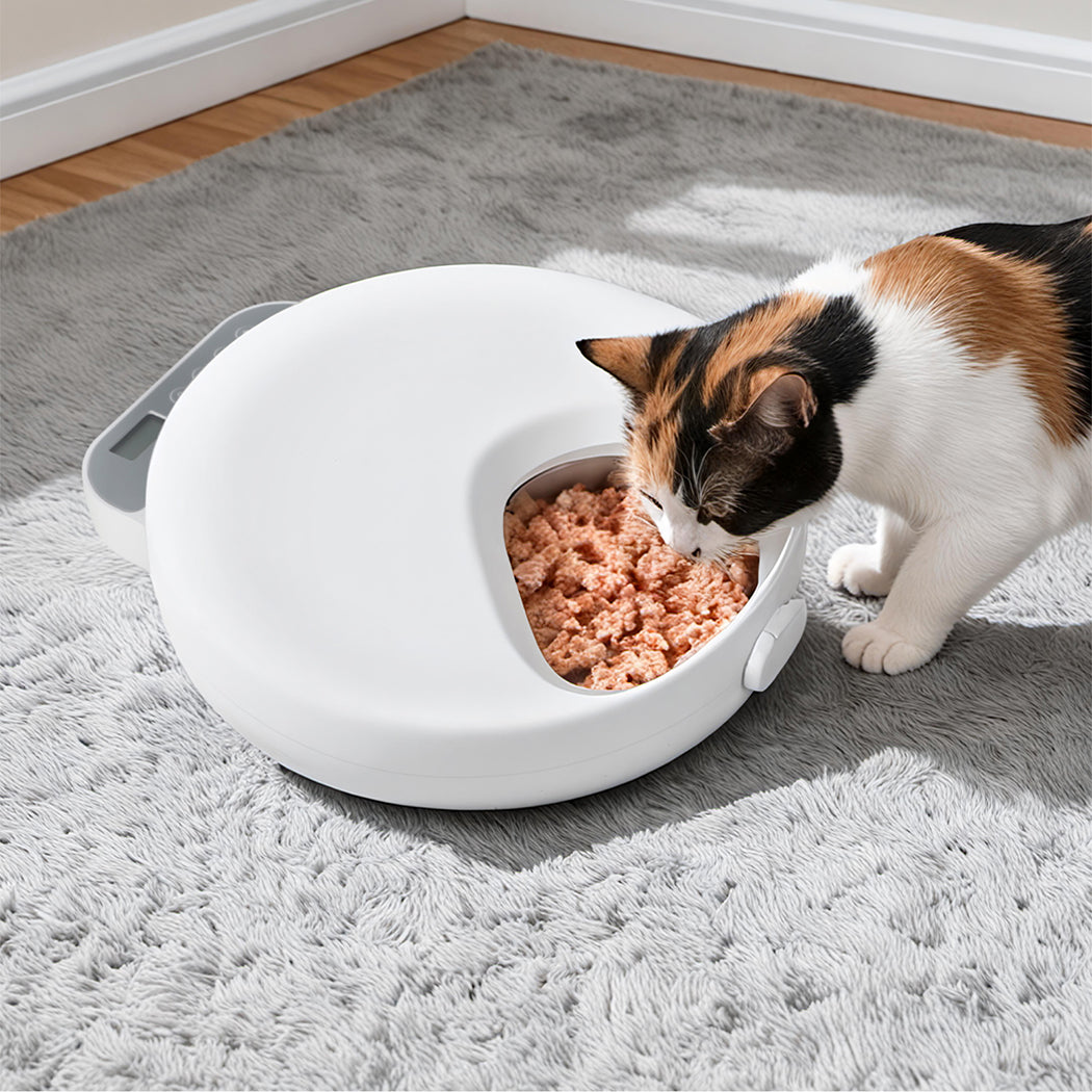 Pawz 4 Meals Automatic Timer Pet Smart Chilled Feeder-2011971121464872966