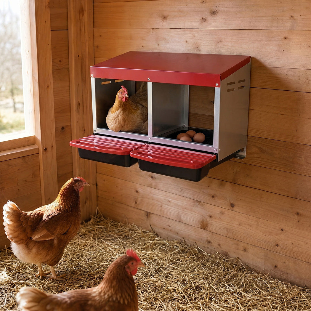 Pawz Chicken Nesting Boxes 2 Hole for Rolling Egg Collectio Inside Outside-2061251867299680262