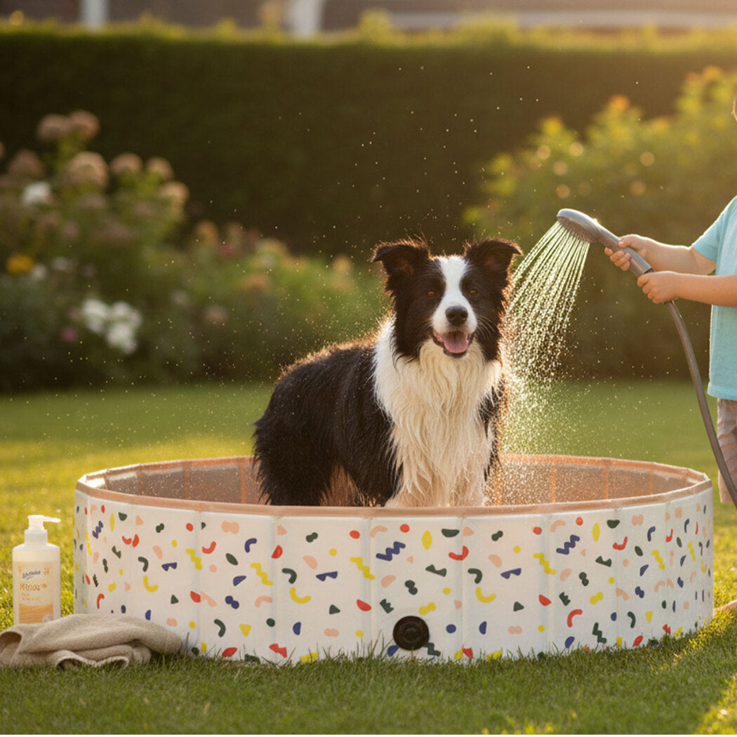 Pawz Dog Swimming Pool Foldable Pet Bath Portable 120cm-2065254666500968454