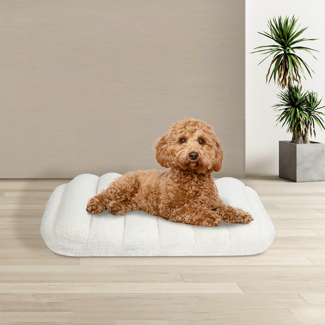 Pawz S Size Orthopedic Dog Bed with Sherpa Plush Removable Cover in White-1937319823231029254