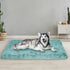 PaWz Dog Mat Pet Calming Bed Memory XL Green X-Large-2029387228777680902