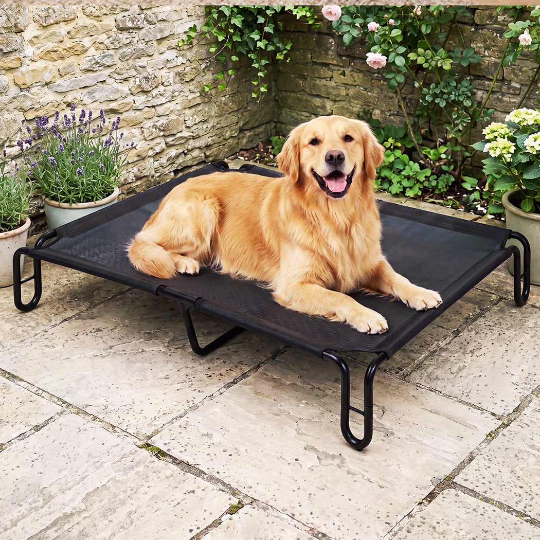 Pawz Elevated Dog Bed L Breathable Mesh Cooling for Indoor Outdoor Black-2100034991382728710
