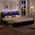 Levede Queen Metal Bed Frame LED Lights 2 Drawers-2018816912707948550