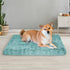 PaWz Dog Mat Pet Calming Bed Memory M Green Medium-1864184529854533638