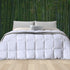 DreamZ 400GSM All Season Bamboo Winter Double-2018816758437253126