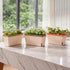 Toque Self Watering Plant Pots 3 Pcs Indoor Planter Box Vegetable Flower Garden-2050059015978881031