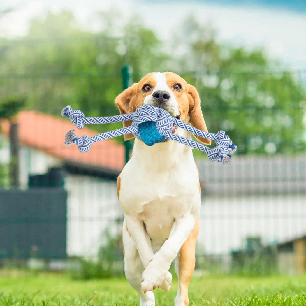 PaWz Dog Chew Toys Squeaky Puppy Pet-2029387302450630663