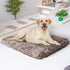 PaWz Dog Mat Pet Calming Bed Memory L Coffee Large-2018816707749089287