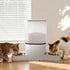PaWz 6L Automatic Pet Feeder 2 Bowl Food Dispenser-2050056902800445447