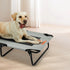 Pawz Pet Elevated Bed Dog Raised Trampoline Foldable Large L Size-2006732710206377991