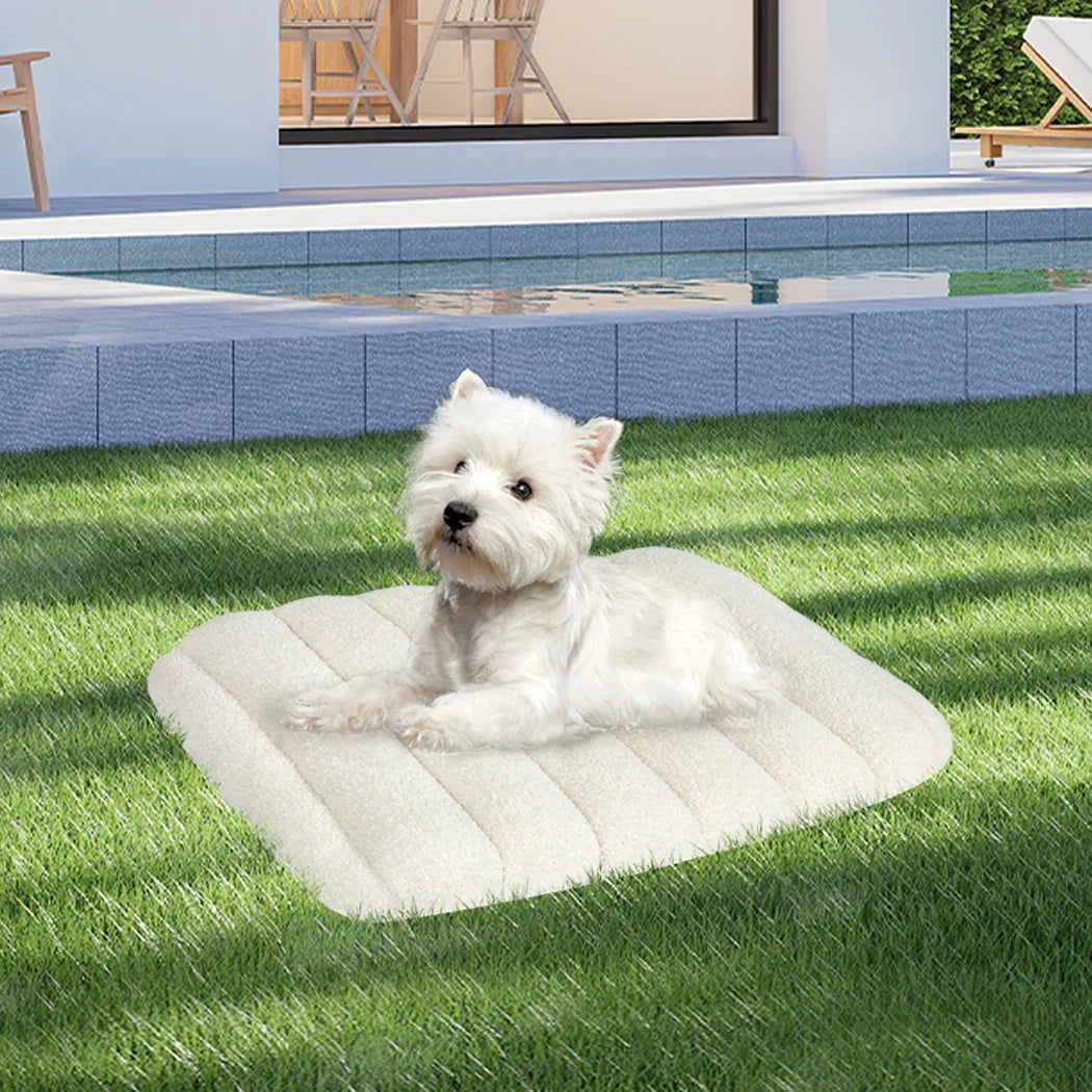 Pawz S Size Orthopedic Dog Bed with Sherpa Plush Removable Cover in White-2018816662094090247