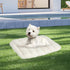 Pawz S Size Orthopedic Dog Bed with Sherpa Plush Removable Cover in White-2018816662094090247