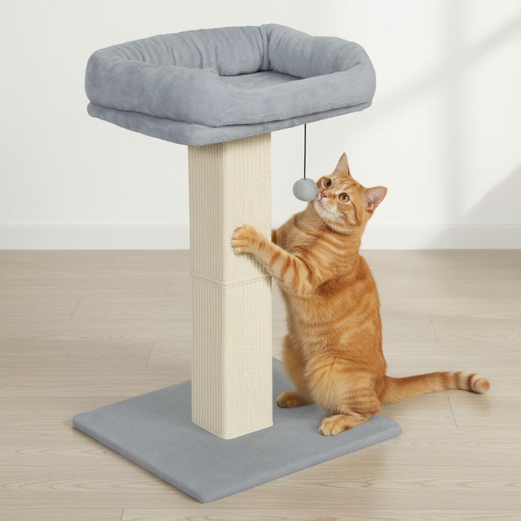 Pawz Cat Scratcher Big Perch Bed-2065254280360759303