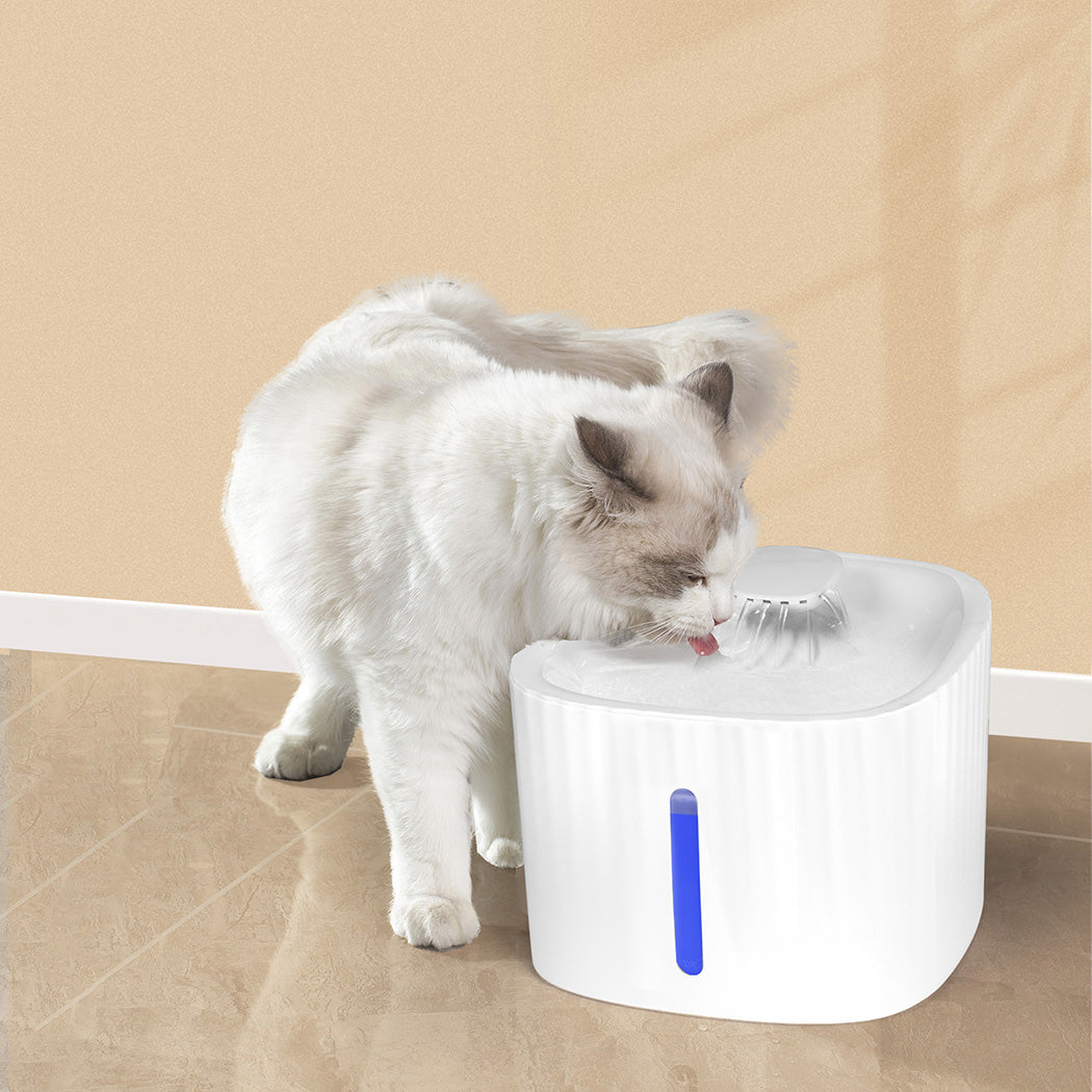 PAWZ Pet Water Fountain-1894516746279325703