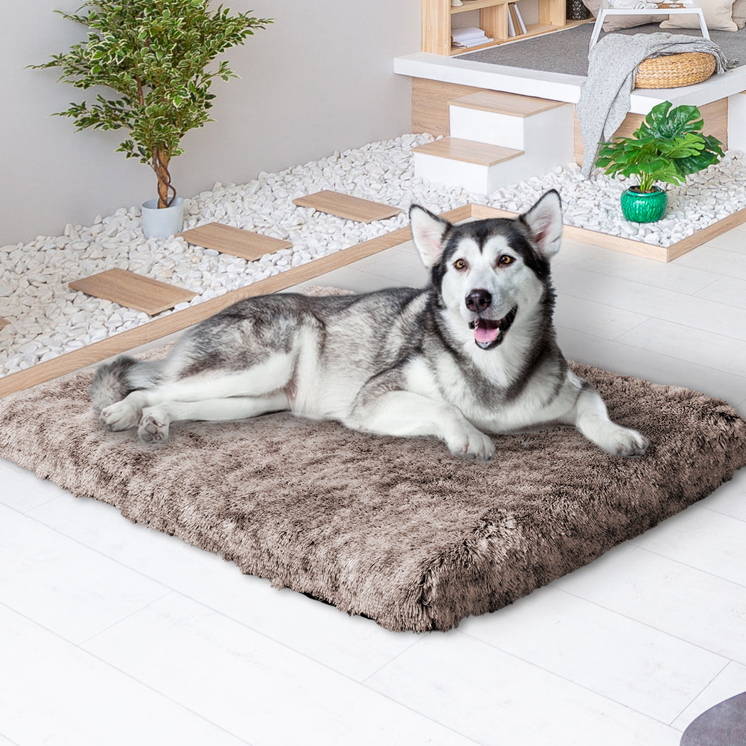 PaWz Dog Mat Pet Calming Bed Memory XL Coffee X-Large-1864184530605314055
