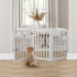 Wooden Pet Gate Dog Fence Retractable White 2000x 3MM-1864184509717680135
