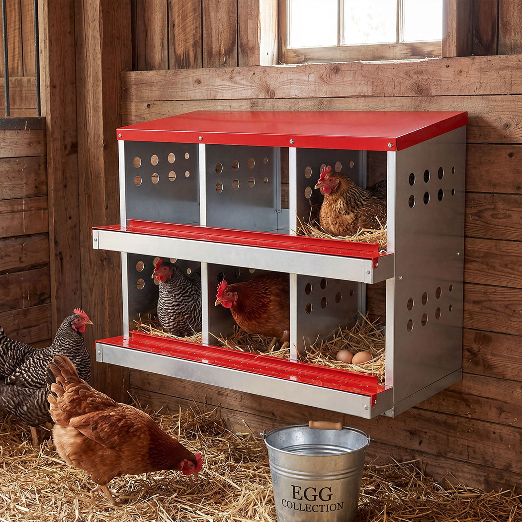 Pawz Chicken Nesting Box 6 Hole 2-Tier Roll Away Egg Collection Galvanized Coop-2072893572729933831