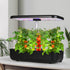 Lambu Hydroponics Growing System 3 Mode-1864183568490696711