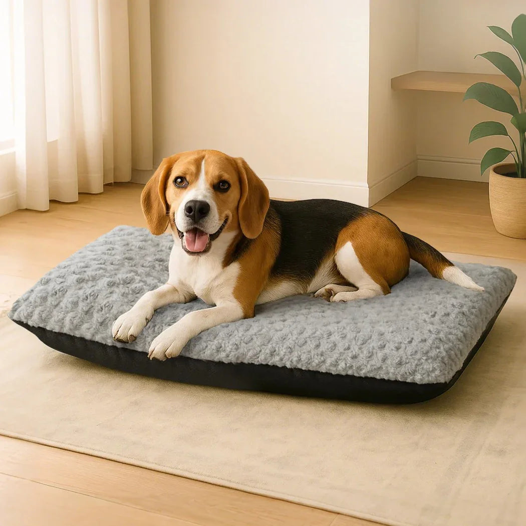 Pawz Pet Bed Dog Soft Warm Plush Mattress-2029387308536565767