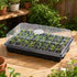 Toque Seedling Tray 5 Pack Starter Kit With Vented Dome For Greenhouse Black-2100034985904967687