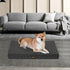 PaWz Pet Dog Orthopaedic Bed-1910112345359781895