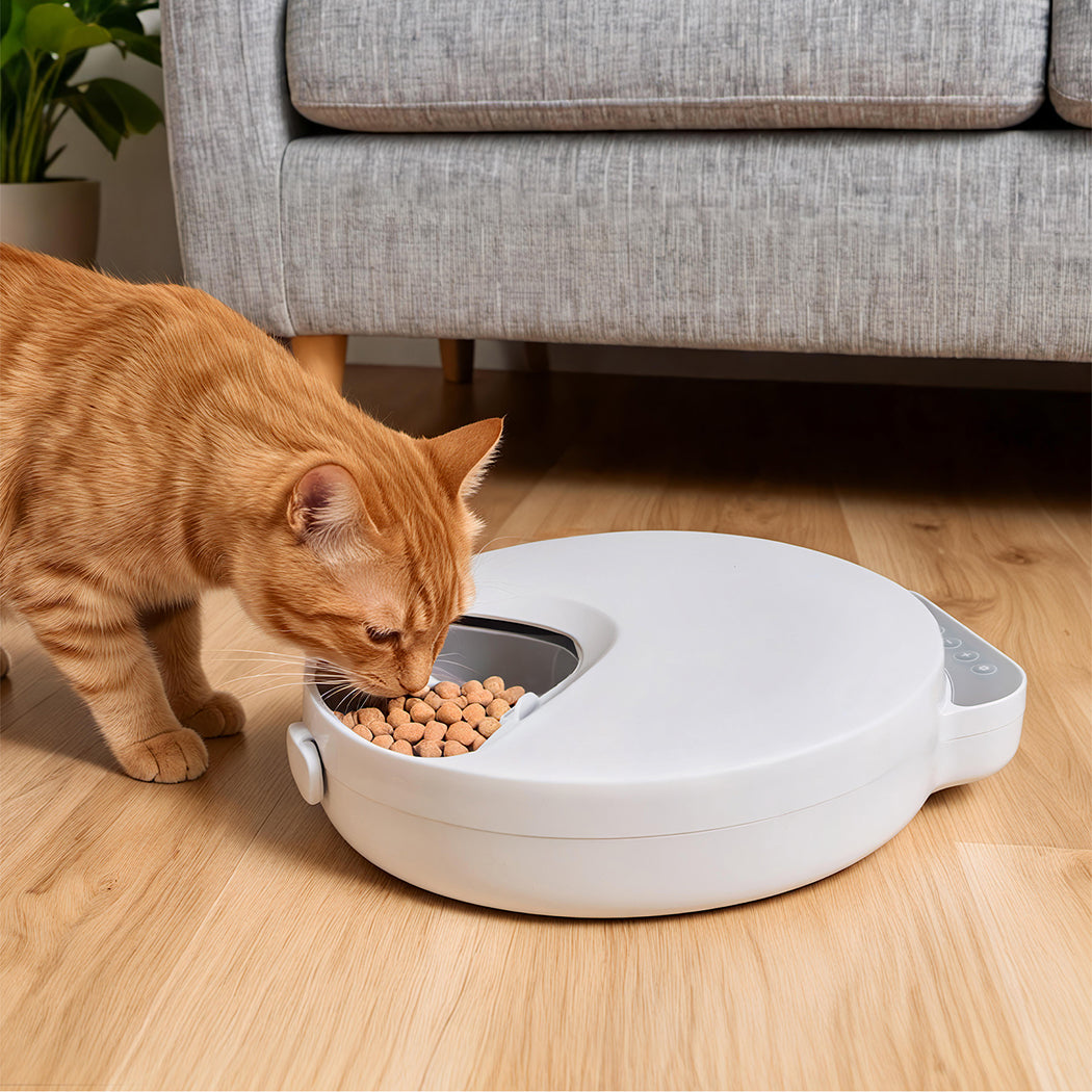 Pawz 4 Meals Automatic Timer Pet Smart Chilled Feeder-2011971121464872967