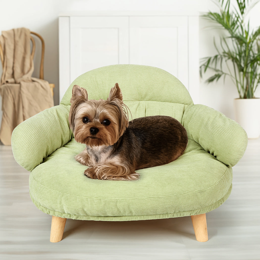 Pawz Elevated Pet Dog Cat Sofa Bed Couch XL Size Green-1910112275419762695