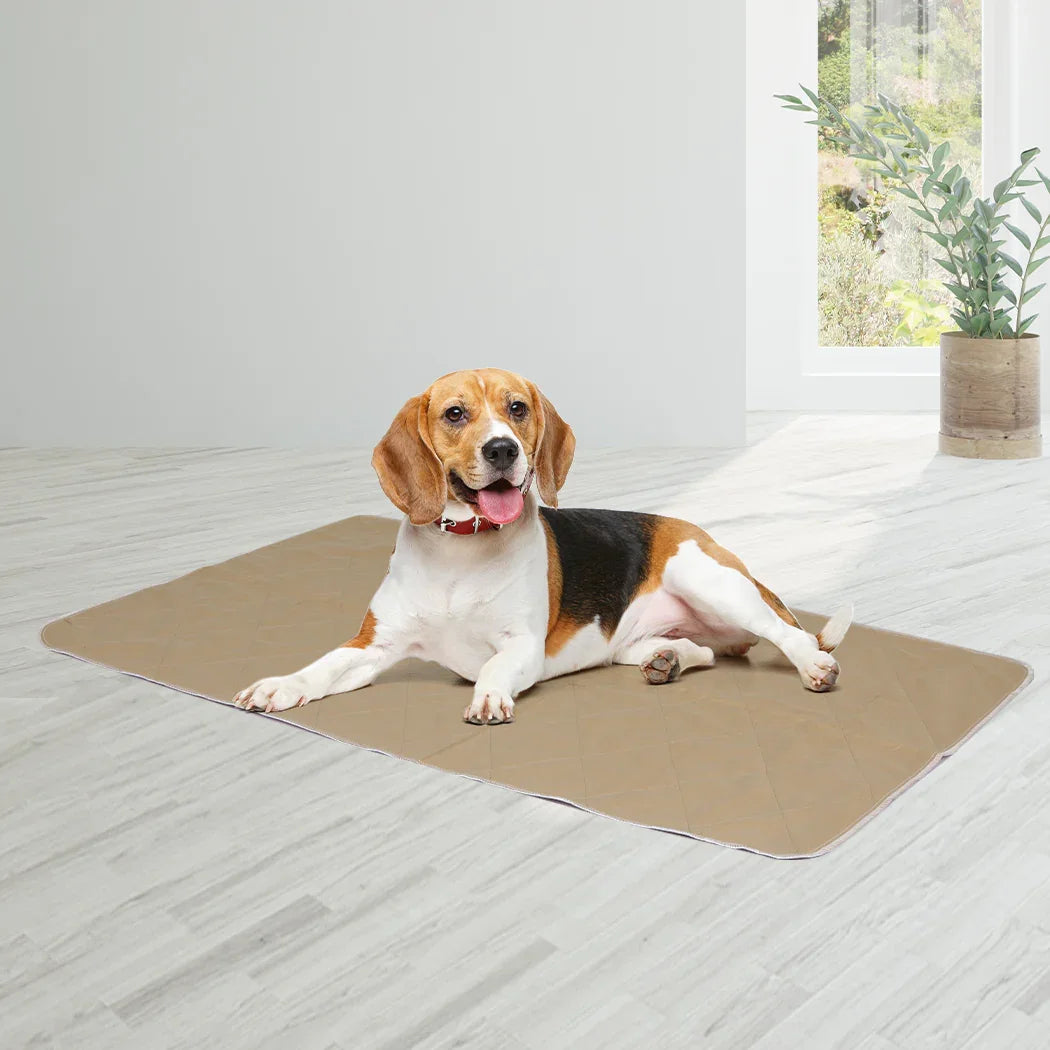 PaWz 2 Pcs 60x90 cm Reusable Waterproof Large-2018816648647151623