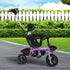 BoPeep Kids Tricycle Ride On Trike Toddler Purple-2006733204148588551