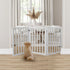 Wooden Pet Gate Dog Fence Retractable White 2000x 3MM-2018816780570595335