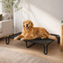 Pawz Elevated Dog Bed M Breathable Mesh Cooling for Indoor Outdoor Black-2100034991567278087