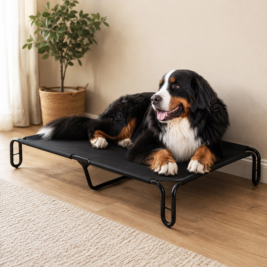 Pawz Elevated Dog Bed L Breathable Mesh Cooling for Indoor Outdoor Black-2100034991382728711