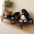 Pawz Elevated Dog Bed L Breathable Mesh Cooling for Indoor Outdoor Black-2100034991382728711