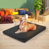 PaWz Pet Bed Foldable Dog Puppy Beds Black X-Large-2018816751617314823