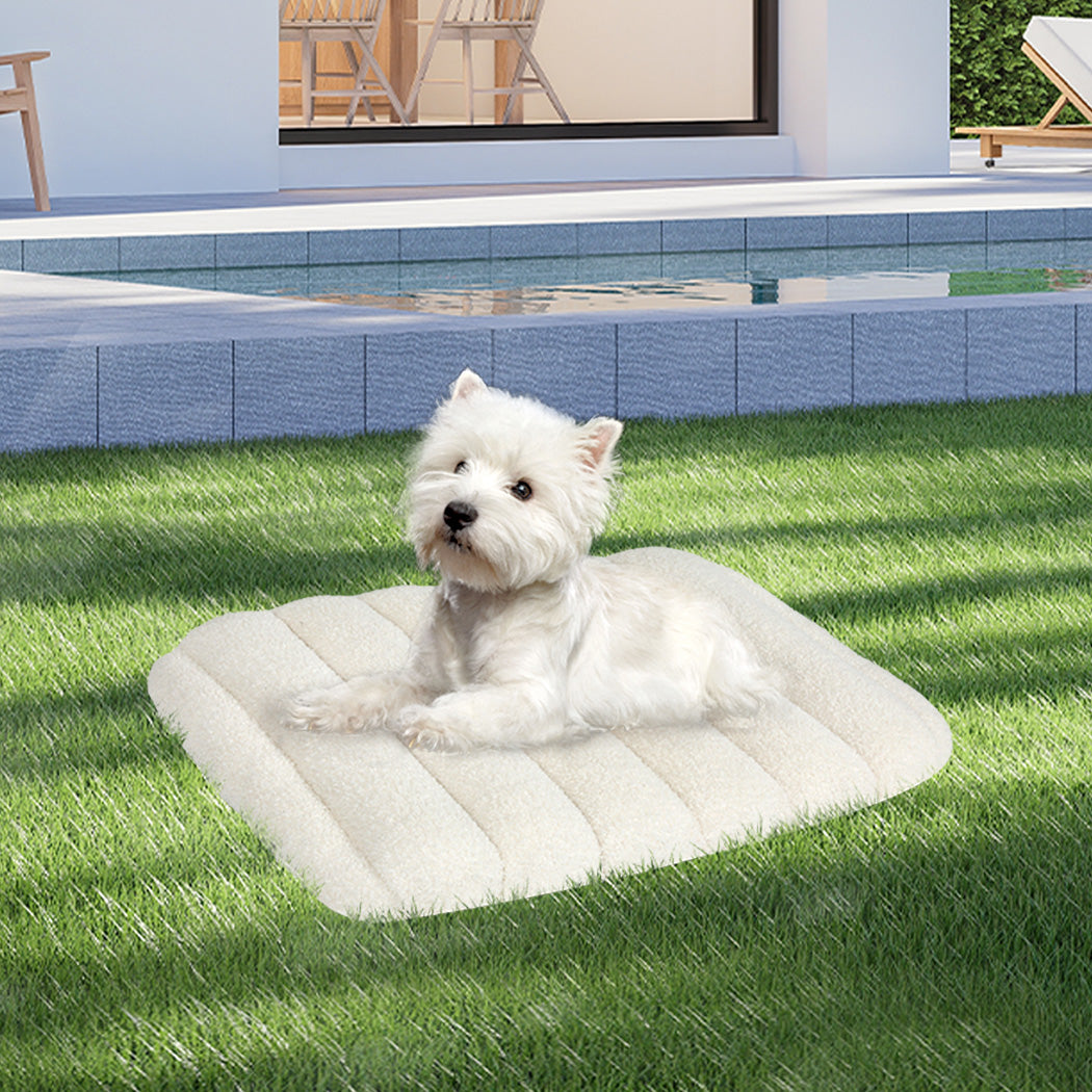 Pawz S Size Orthopedic Dog Bed with Sherpa Plush Removable Cover in White-1937319823231029255
