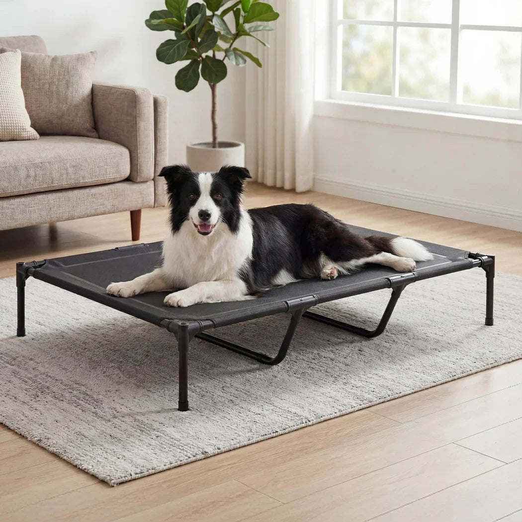 Pawz Elevated Dog Bed Heavy Duty Portable Cot  Waterproof Pet Raised Bed XL Size-2050056785804529671