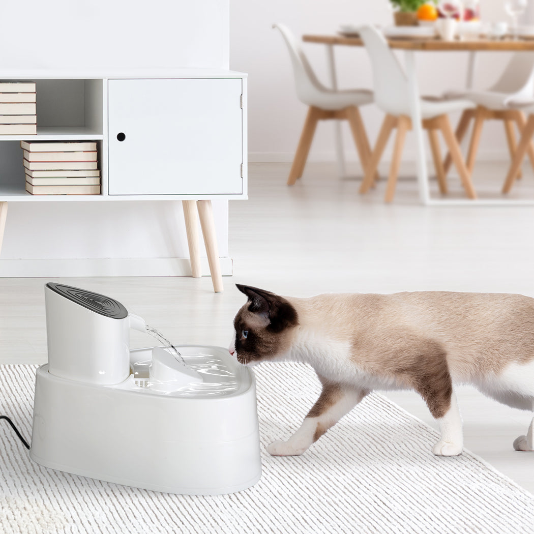 PaWz Electric Pet Water Fountain Drinking-2006732998929682438