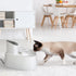 PaWz Electric Pet Water Fountain Drinking-2006732998929682438