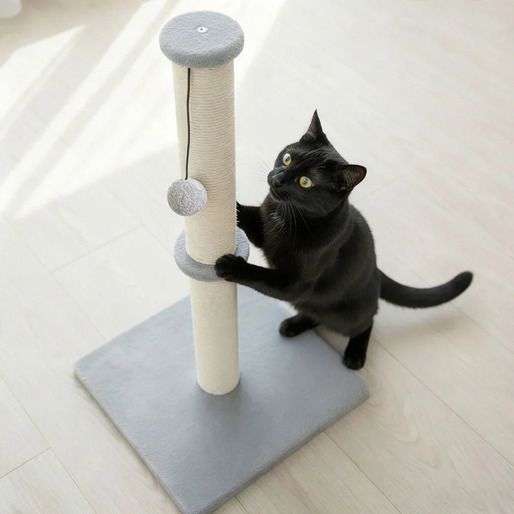 Pawz Cat Scratcher Scratching Post-2006732790871232519