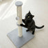 Pawz Cat Scratcher Scratching Post-2006732790871232519