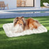 Pawz L Size Orthopedic Dog Bed with Sherpa Plush Removable Cover in White-2029387208699547655