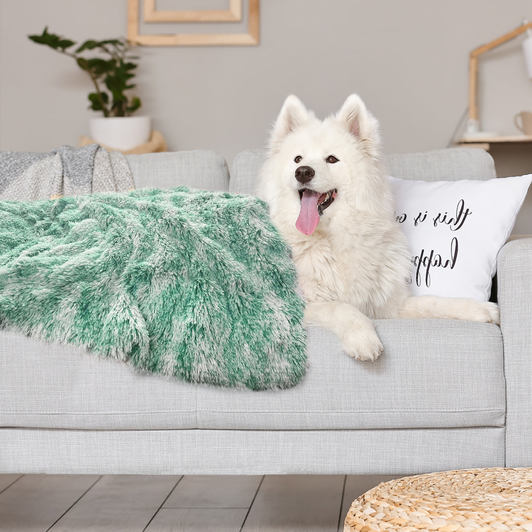 PaWz Dog Blanket Pet Cat Mat Puppy Warm Teal-2018816654565314567