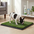 Pawz Dog Potty Tray with Grass Mat Washable Puppy Portable Training Toilet-2050059018050867207